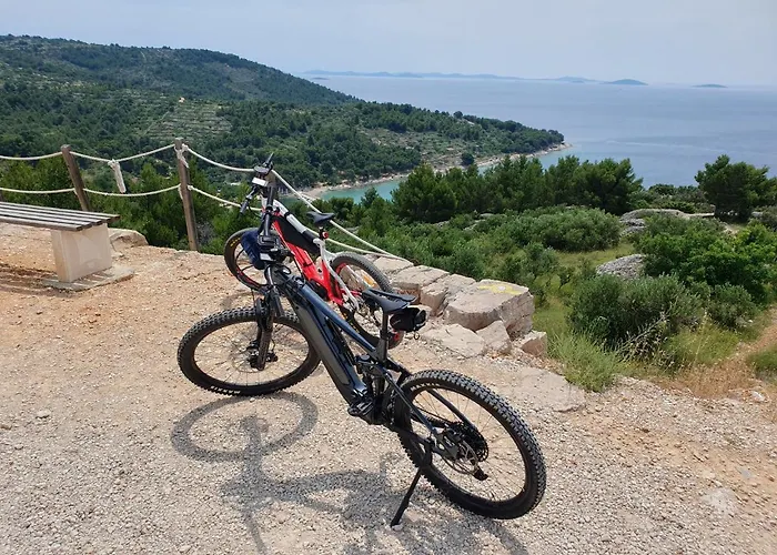 Penthouse For Two Family ムルテル